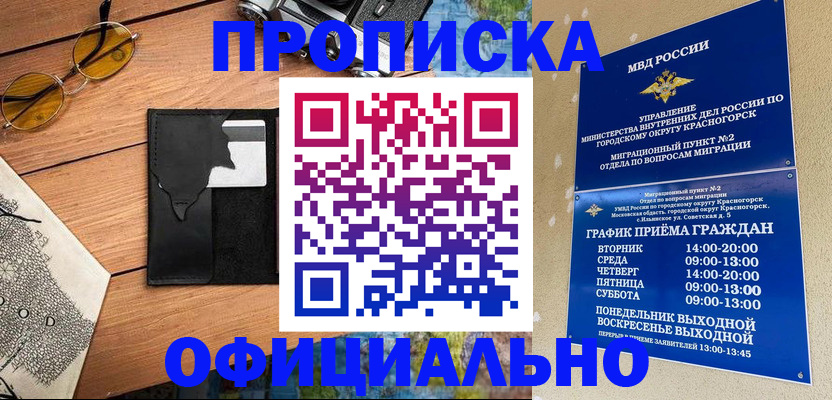 прописка поиск в Звенигово